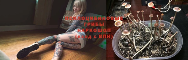 PSILOCYBIN Абаза