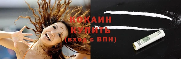 PSILOCYBIN Абаза