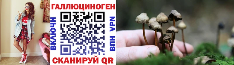 Псилоцибиновые грибы Magic Shrooms  Тотьма 
